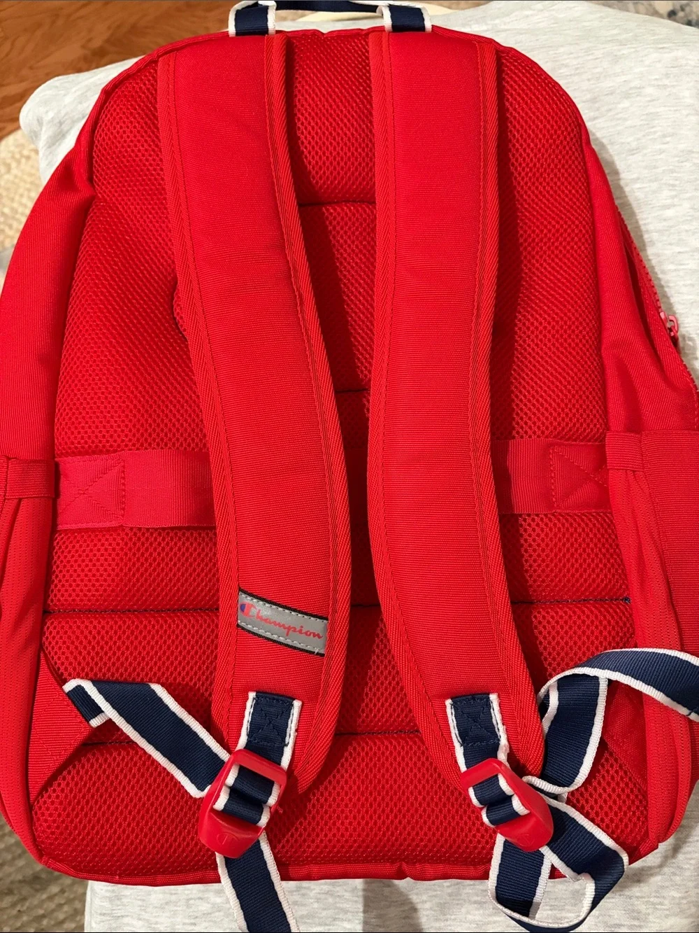 Champion estate backpack